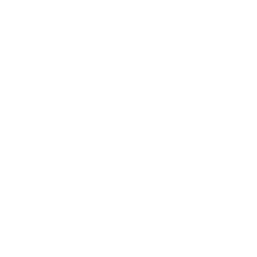 Rob Lee Media